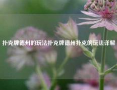 扑克牌德州的玩法扑克牌德州扑克的玩法详解