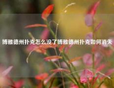 博雅德州扑克怎么没了博雅德州扑克如何消失
