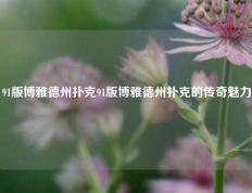 91版博雅德州扑克91版博雅德州扑克的传奇魅力