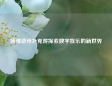 博雅德州扑克游探索数字娱乐的新世界