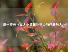 德州经典扑克大小德州扑克中的经典与大小