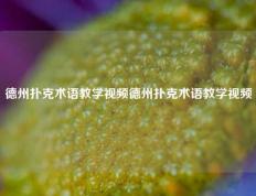 德州扑克术语教学视频德州扑克术语教学视频