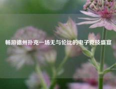 畅游德州扑克一场无与伦比的电子竞技盛宴