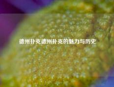 德州扑克德州扑克的魅力与历史