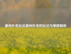 德州扑克玩法德州扑克的玩法与策略解析