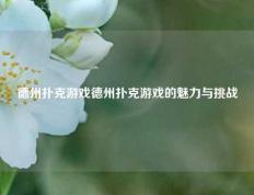 德州扑克游戏德州扑克游戏的魅力与挑战