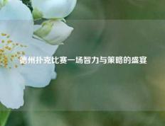 德州扑克比赛一场智力与策略的盛宴