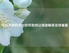 可以买球的平台软件如何让球迷畅享足球盛宴
