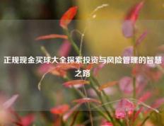 正规现金买球大全探索投资与风险管理的智慧之路