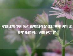 买球比赛中断怎么算如何在足球比赛中遇到比赛中断时的正确处理方式