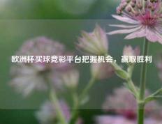 欧洲杯买球竞彩平台把握机会，赢取胜利