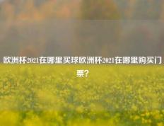 欧洲杯2021在哪里买球欧洲杯2021在哪里购买门票？