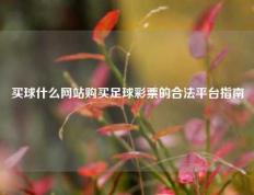买球什么网站购买足球彩票的合法平台指南