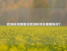 欧洲杯球哪里买欧洲杯球在哪里购买？