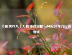 外围买球几十万揭秘高回报与风险并存的投资领域