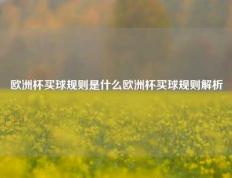 欧洲杯买球规则是什么欧洲杯买球规则解析