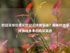欧冠买球在哪买欧冠买球哪家强？揭秘欧洲足球顶级赛事的购买渠道