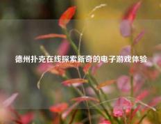 德州扑克在线探索新奇的电子游戏体验