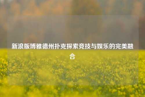 新浪版博雅德州扑克探索竞技与娱乐的完美融合