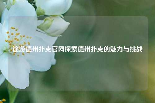 途游德州扑克官网探索德州扑克的魅力与挑战