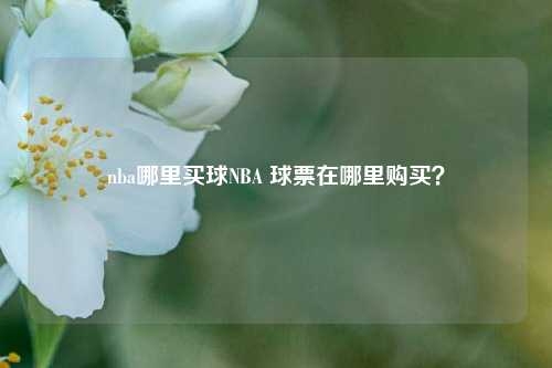 nba哪里买球NBA 球票在哪里购买？