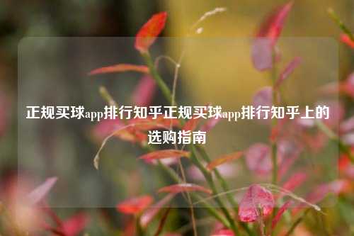 正规买球app排行知乎正规买球app排行知乎上的选购指南