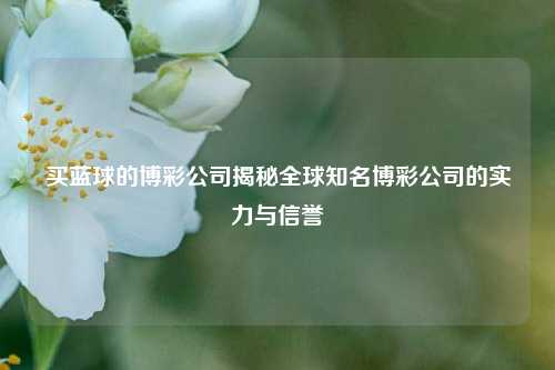 买蓝球的博彩公司揭秘全球知名博彩公司的实力与信誉
