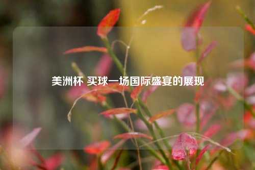 美洲杯 买球一场国际盛宴的展现