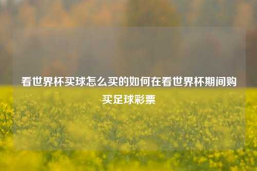 看世界杯买球怎么买的如何在看世界杯期间购买足球彩票