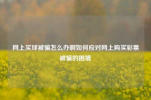网上买球被骗怎么办啊如何应对网上购买彩票被骗的困境