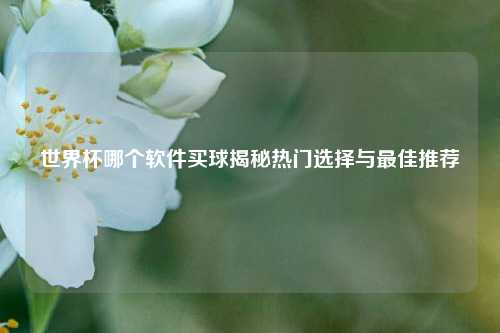 世界杯哪个软件买球揭秘热门选择与最佳推荐