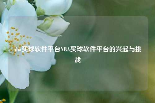 nba买球软件平台NBA买球软件平台的兴起与挑战