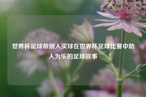 世界杯足球帮别人买球在世界杯足球比赛中助人为乐的足球故事