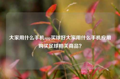 大家用什么手机app买球好大家用什么手机应用购买足球相关商品？