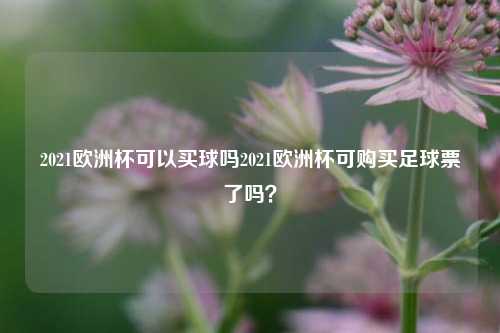 2021欧洲杯可以买球吗2021欧洲杯可购买足球票了吗？