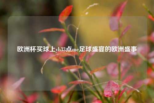 欧洲杯买球上yb33点me足球盛宴的欧洲盛事