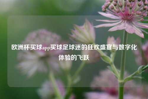 欧洲杯买球app买球足球迷的狂欢盛宴与数字化体验的飞跃