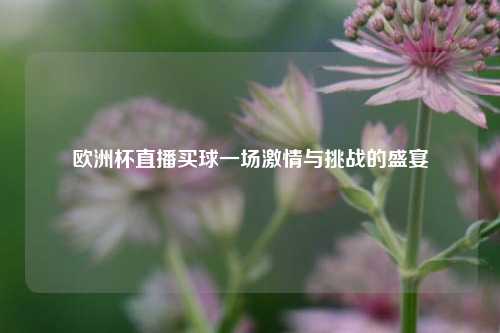 欧洲杯直播买球一场激情与挑战的盛宴