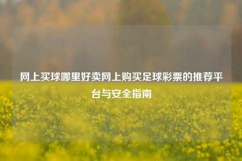 网上买球哪里好卖网上购买足球彩票的推荐平台与安全指南