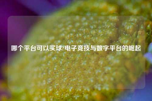 哪个平台可以买球?电子竞技与数字平台的崛起
