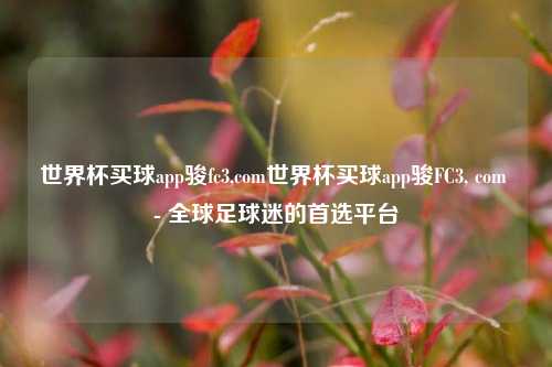 世界杯买球app骏fc3,com世界杯买球app骏FC3, com - 全球足球迷的首选平台