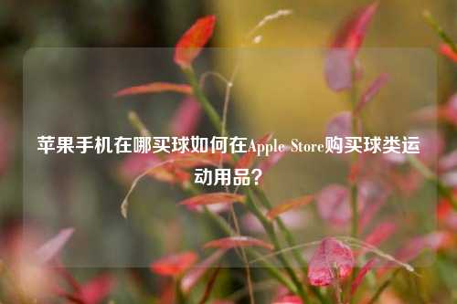 苹果手机在哪买球如何在Apple Store购买球类运动用品？