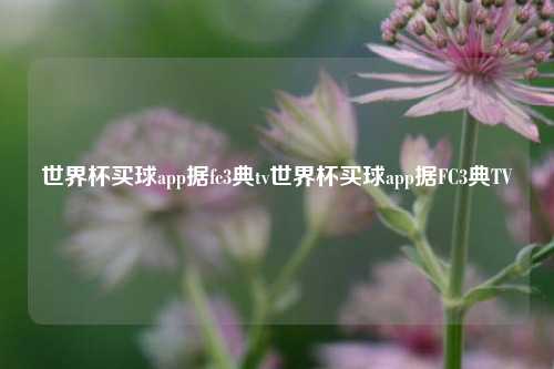 世界杯买球app据fc3典tv世界杯买球app据FC3典TV