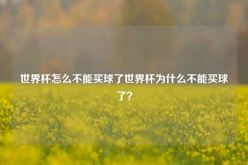 世界杯怎么不能买球了世界杯为什么不能买球了？