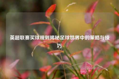 英超联赛买球规则揭秘足球世界中的策略与技巧