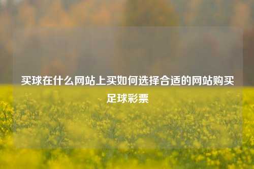 买球在什么网站上买如何选择合适的网站购买足球彩票