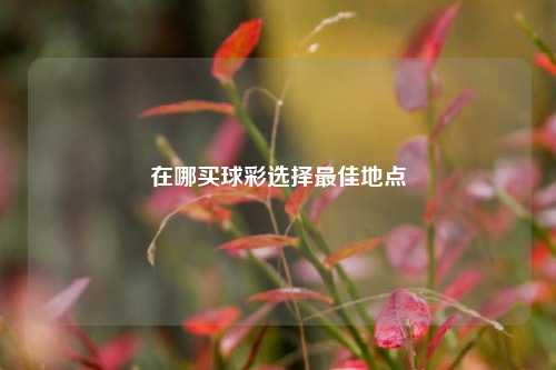 在哪买球彩选择最佳地点