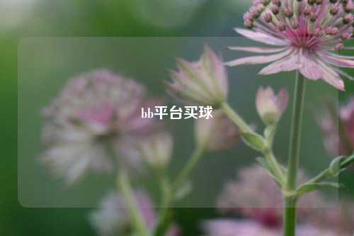 bb平台买球