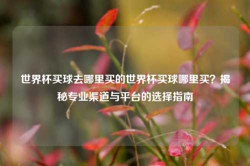 世界杯买球去哪里买的世界杯买球哪里买？揭秘专业渠道与平台的选择指南