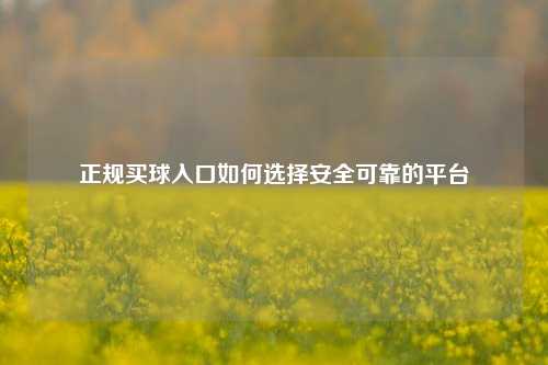 正规买球入口如何选择安全可靠的平台